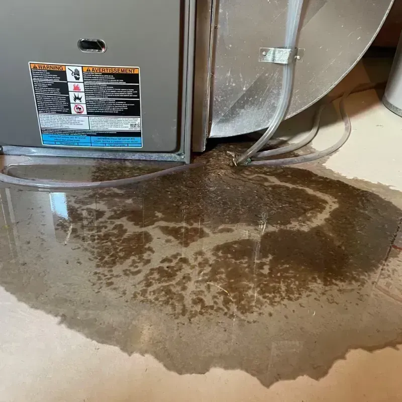 Appliance Leak Cleanup in Terre Haute, MO